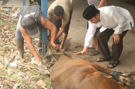 Kadisdik Inhil Drs H Helmi D MPd saat menyaksikan pemyembelihan hewan qurban dilingkunga disdik